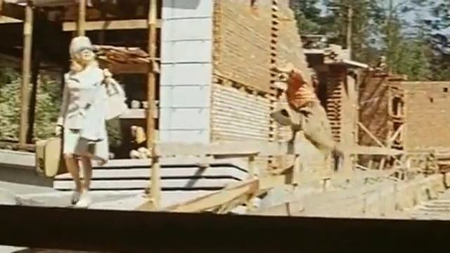 Незнакомый наследник (1974)