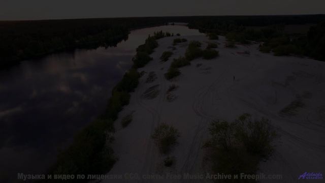 Музыка для цифрового воскрешения - где границы этики - Flutterbee -- Podington Bear -- Meet Podingto