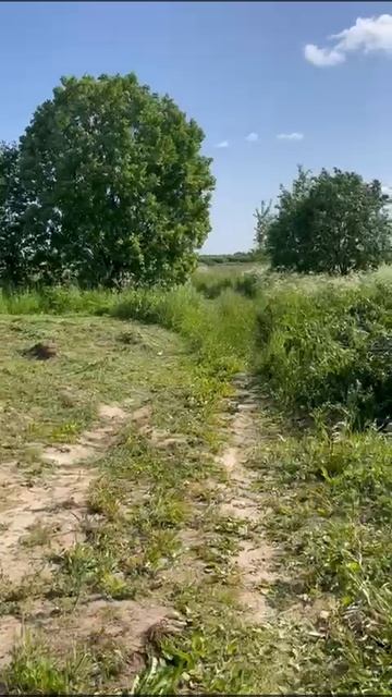 VID-20250621-WA0000