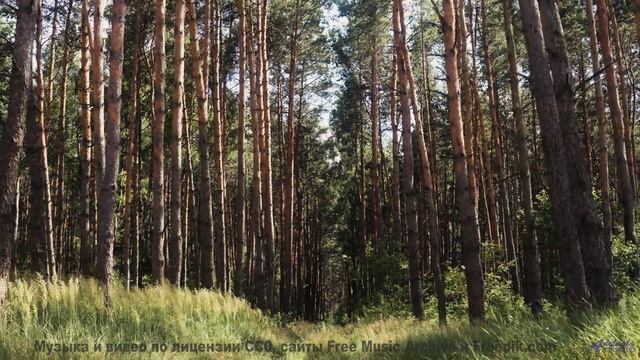 Природа в спектрах, невидимых человеческому глазу - технологии открывают тайны! - TE DESPERTAI VIEND