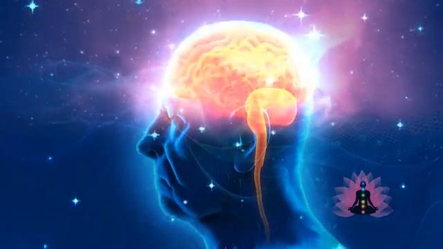 Эпилепсия: ЧИСТАЯ МАТРИЦА исцеляющая - уникальная коллекция 2025 на Канале и Официальном Сайте Клуба