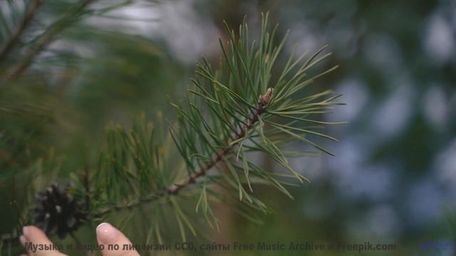 Не включай, если не готов влюбиться в Землю - Desgarro (XLIV) -- opo -- Estudios Indigeniformes