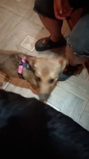 VID_20250622_212715_746