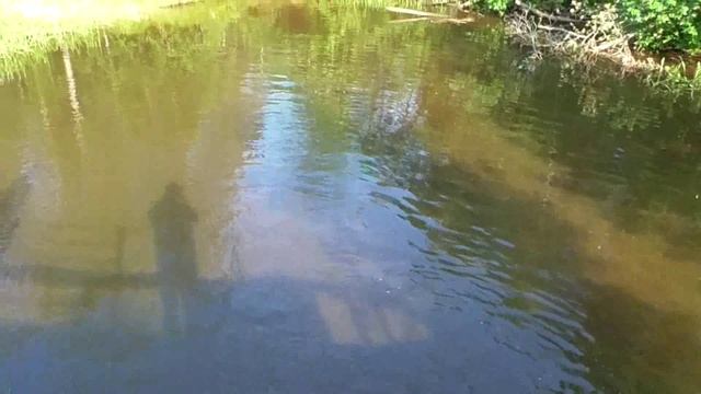 Вело прогулка ч4