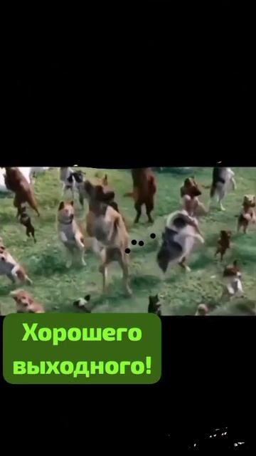 Весело