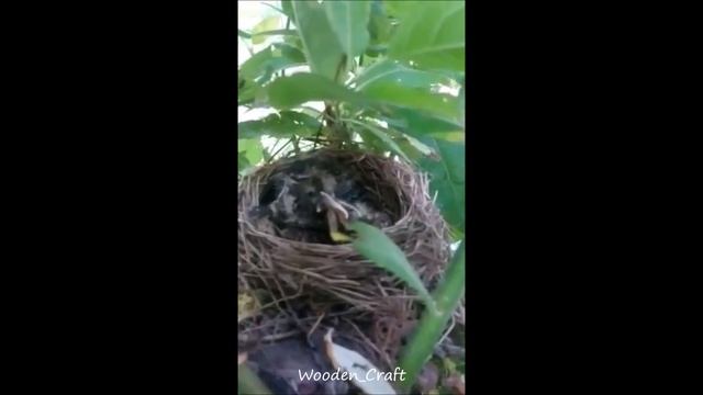 Пацаны, пиво будете?
