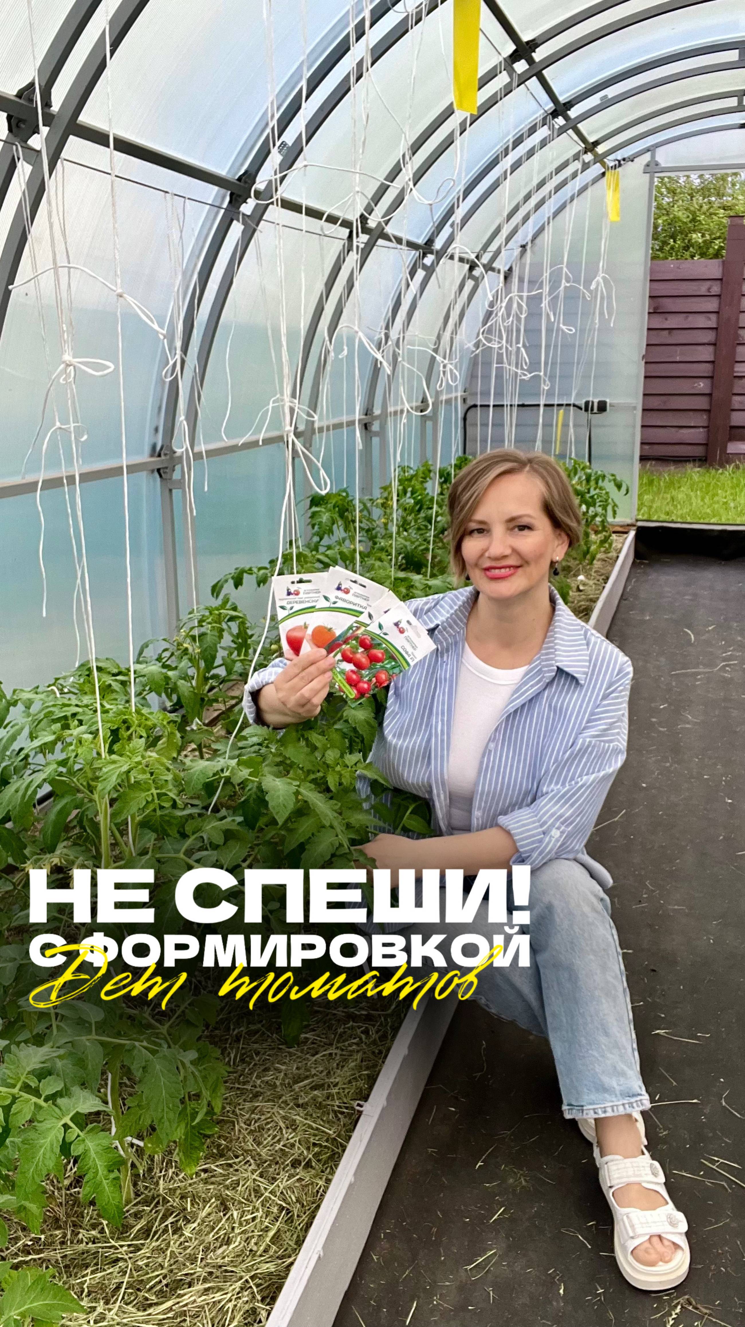 Нужно ли пасынковать низкорослые томаты? 🍅