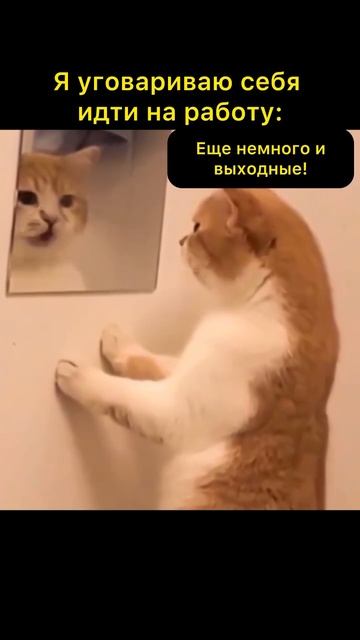 Уговор идти на работу