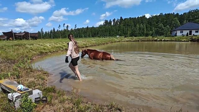 ✅✅✅Как Витька отпраздновал свой юбилей?  #влог  #латвия