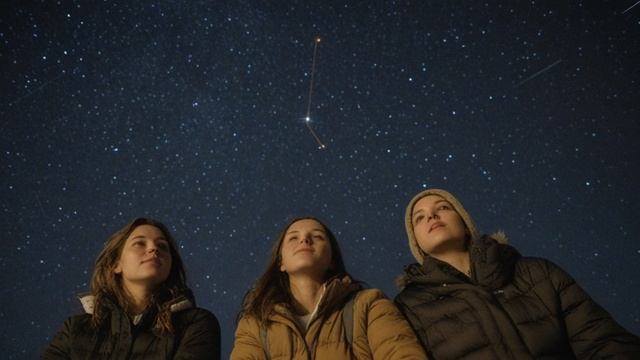 Навигация в пространстве Как птицы ориентируются во время миграций