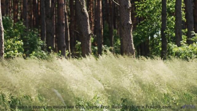 Песня, которая звучит громче, когда поёшь её хриплым утром в палатке - Desire -- Ketsa -- Equinox Ri
