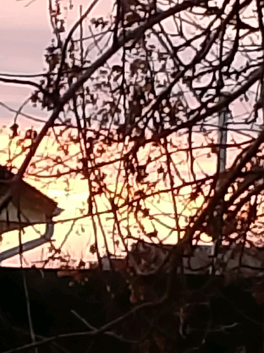 СМОТРИТЕ ДВЕ ЛЕГЕНДЫ