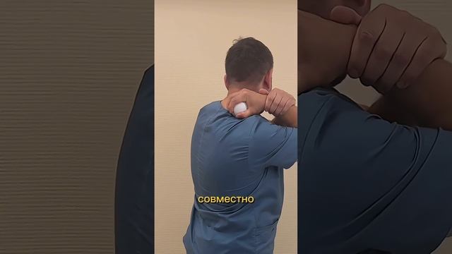 Одна мышца три боли Шея Плечо Лопатка