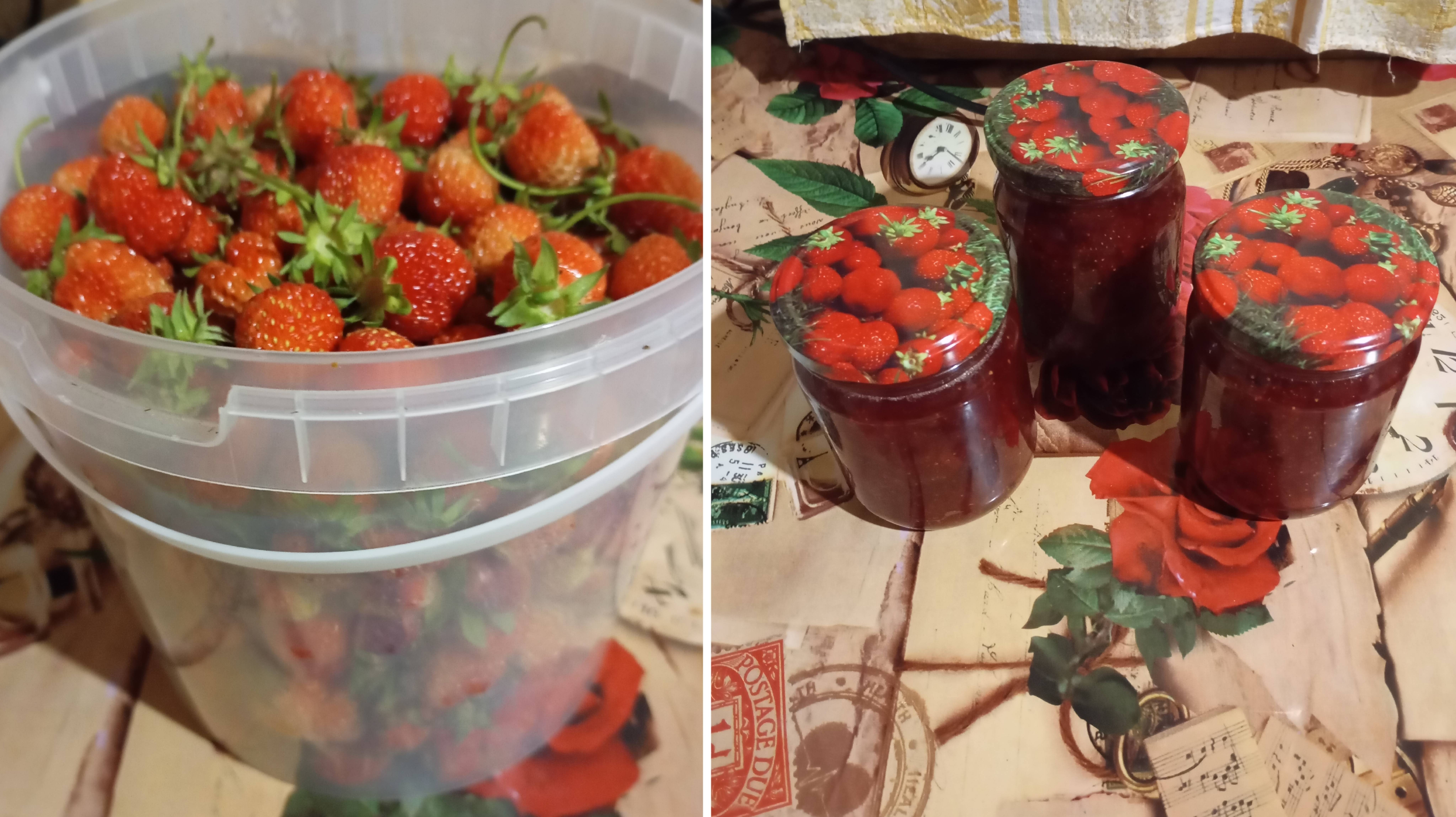 Клубничный влог 🍓 20.06.25г.