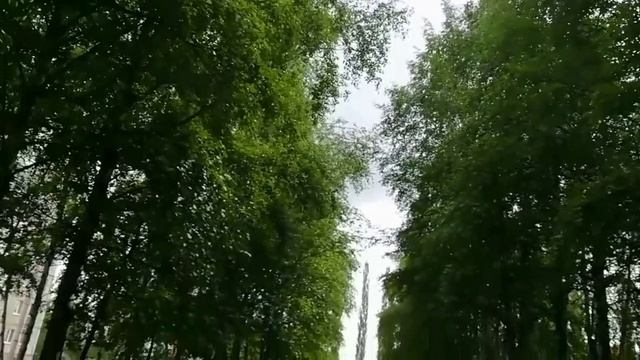 Давайте в мире жить зелёном!