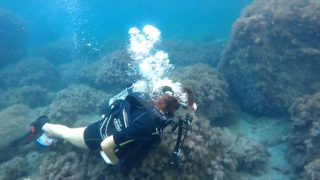 Мыс Мальчин Divingtime.net