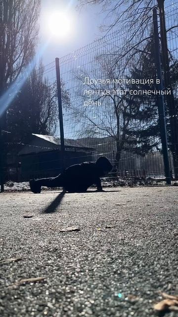 В отжиманиях работают все мышцы нашего тела