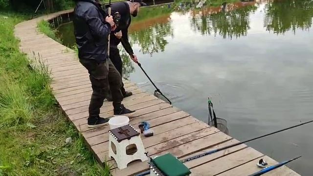 Кукуруза с червяком
