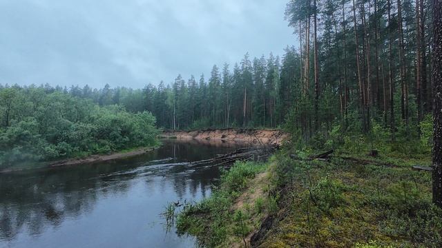 Сплав по реке Песь ( променад на берегу ) 24 км .