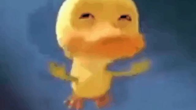 1000001798.mp4