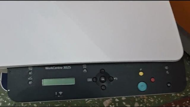 Видео №317621