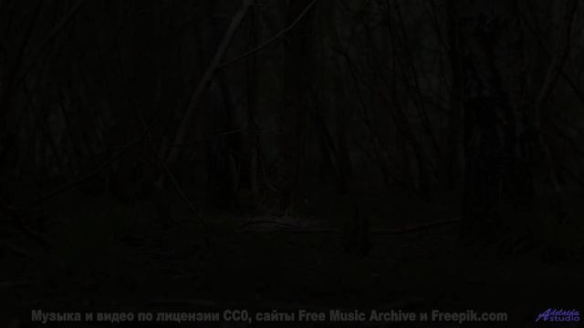 Никто не останется равнодушным к такому сочетанию - Born In Winter -- One Man Book -- Life is a Lang