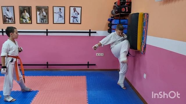 Трудовые будни каратиста 213(настенная подушка)