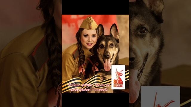 Песня "Собаки войны".