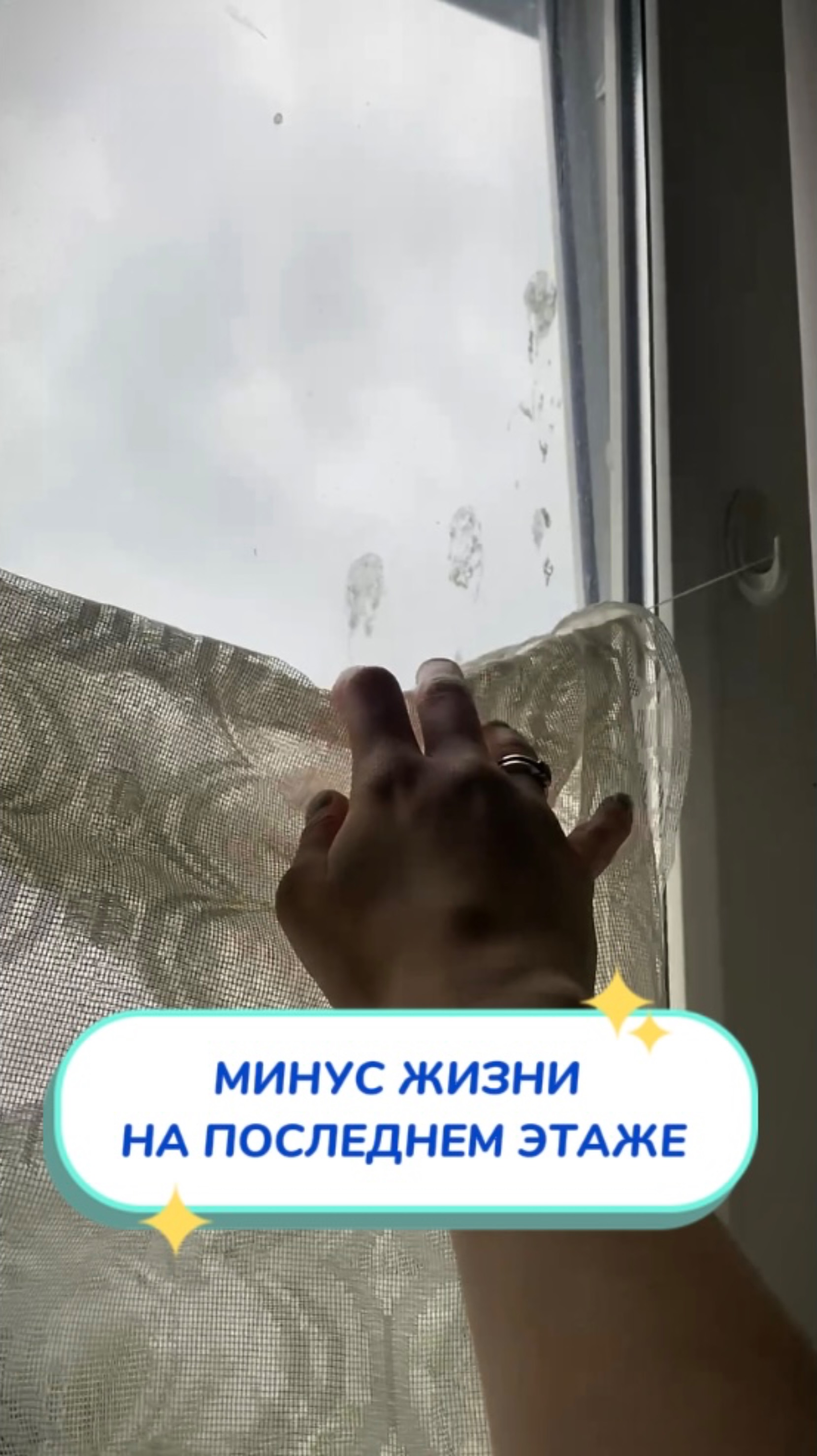 Жизнь на 9-м этаже: Небо близко, птицы – еще ближе! 🐦💩Артикул на WB #269153142💫Ozon #1740810271