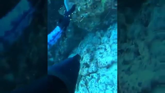 Подводная охота Мальдивы