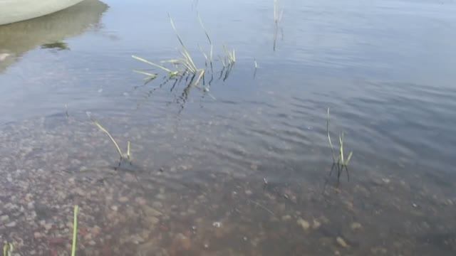 Открытие летней рыбалки