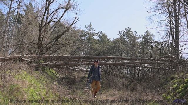 Почему здесь тонут БЕЗ следа - Reachout . Pushback -- Ranch House -- The Ranch House LP
