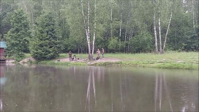 Утренний обзор с нижнего водоёма. Клёвое место, Лосиный остров.