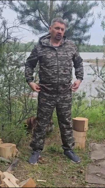 Тайгер