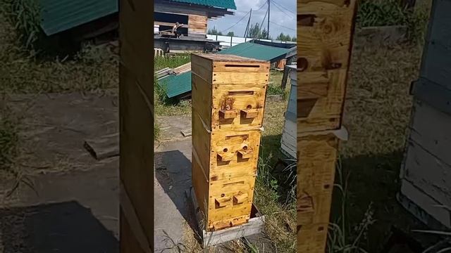 6 рамочный улей с перегородкой на три корпуса.mp4