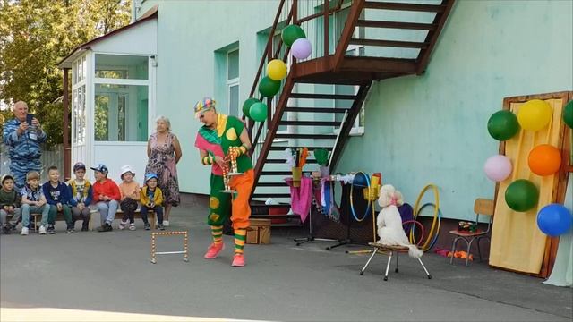 собака#дрессура#клоунада