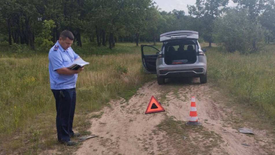 Водитель доставки насмерть сбил ребенка из секции карате в Дзержинске