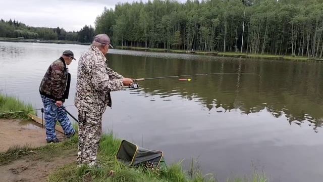 карп