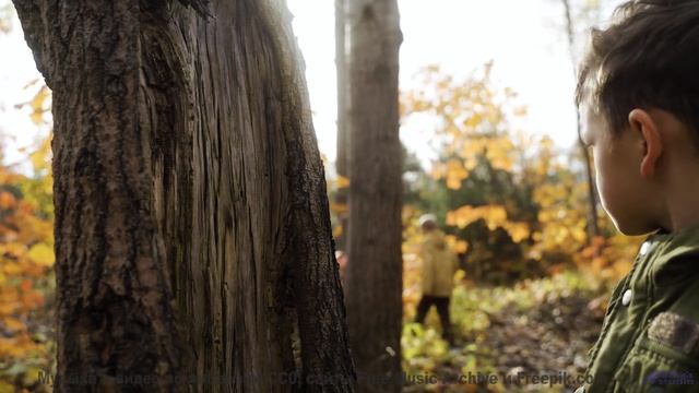 Музыка и кадры сливаются в мощный поток ощущений - dans mon jardin -- Jean Toba -- huit moments avec