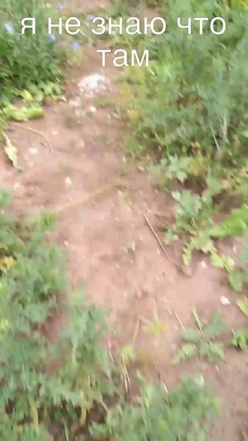 я не знаю что там