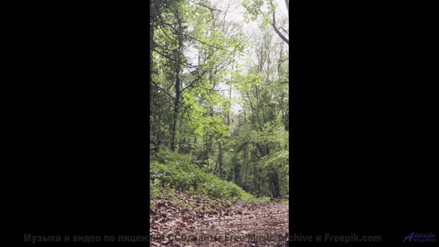 Ты НЕ ДОЛЖЕН слушать это ночью! - Wont Stop -- Ketsa -- Abundance