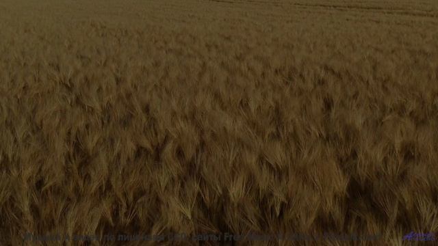 Музыка уносит туда, где не ступала нога - Adventure -- Chad Crouch -- Motion