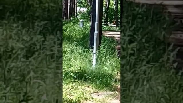 22-06-2025красноярск