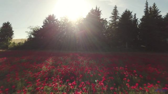 Включите погромче - и пусть дух захватывает! - Snow-Dawn -- Ketsa -- Bedding