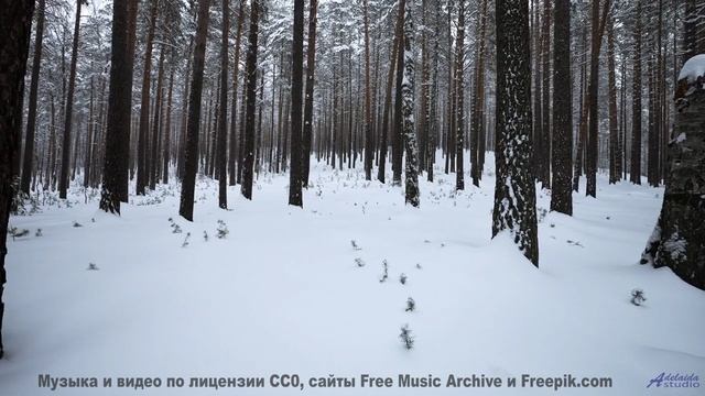 Ты слышишь Это НЕ человеческий звук. - What a Time to Want to Die -- Steve Combs -- Jaw