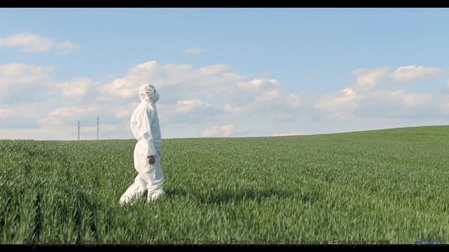 Видео, сжатое до квантовых битов - технологии за гранью! - Silence By Sentence -- One Man Book -- Po