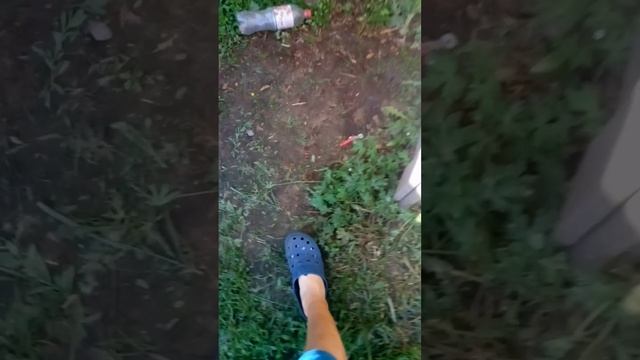 VID_20250622_102916.3gp