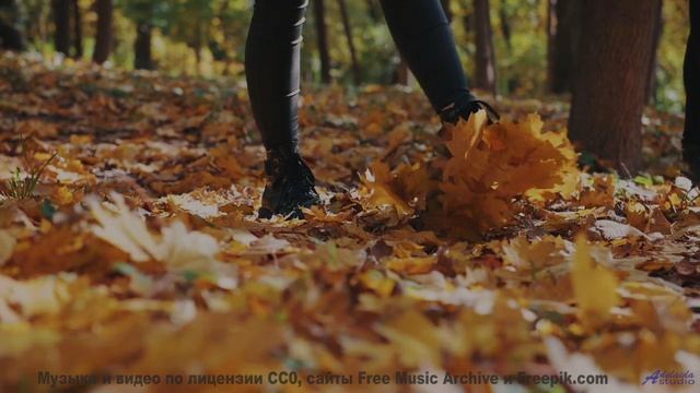 Леса шепчут свои истории вместе с этим треком - When We Were Young -- Derek Clegg -- Man on the Run