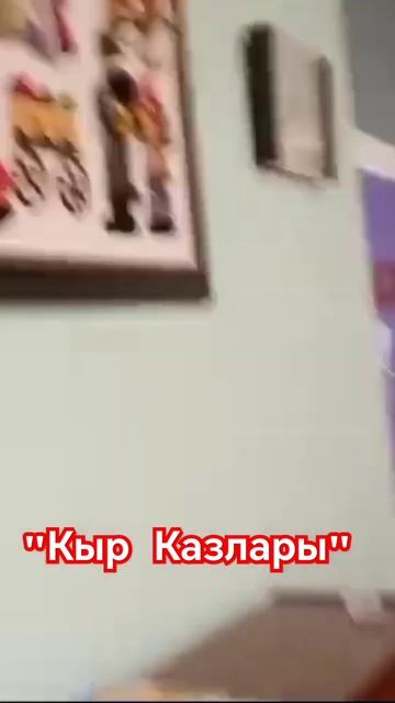Кыр Казлары
