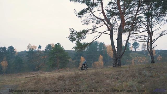 Когда музыка и природа создают идеальный момент! - Your Teasing Potentials -- The Agrarians -- Hey,